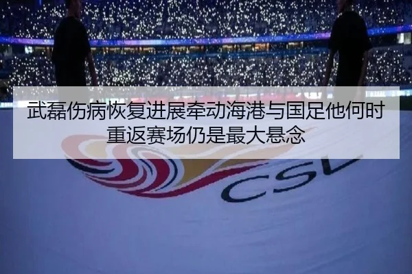 武磊伤病恢复进展牵动海港与国足他何时重返赛场仍是最大悬念