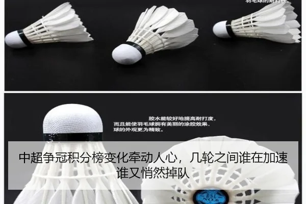 中超争冠积分榜变化牵动人心，几轮之间谁在加速谁又悄然掉队